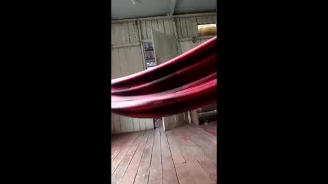 kelpejonh online show from March 2026 05:05:02 PM