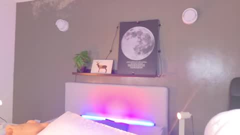   online show from November 2025 11:31:01 AM