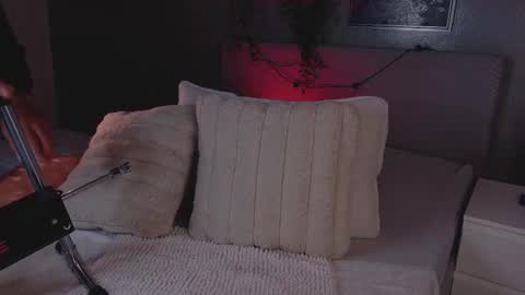   online show from February 2026 11:31:02 AM