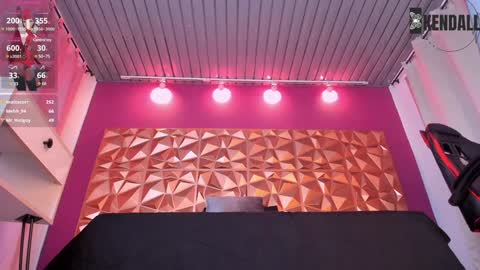 Snapshot of kendall23_ chatting on January 2025 10:28:02 PM Kendall online show from January 2025 10:28:02 PM