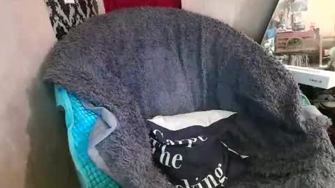 Kennedy Nova  online show from December 2025 09:22:02 PM