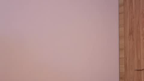 Lisa online show from February 2026 07:10:01 PM