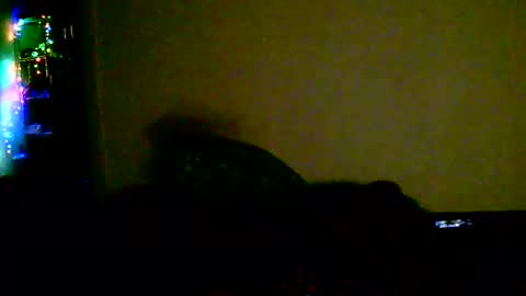 Snapshot of kev_crew25 chatting on February 2026 01:45:04 AM kev online show from February 2026 01:45:04 AM