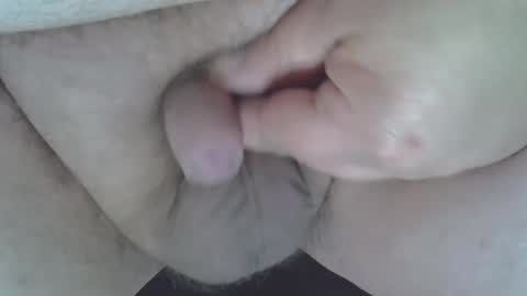 maggot online show from January 2025 08:17:01 AM