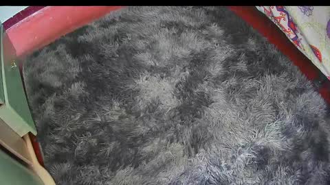 Keyla online show from February 2026 06:17:01 PM