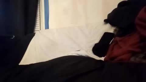 Frankie online show from January 2026 06:41:02 AM