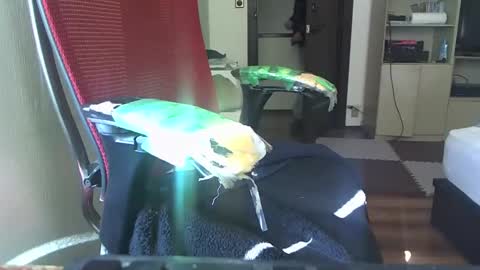 kinchan069 online show from February 2025 02:08:02 AM