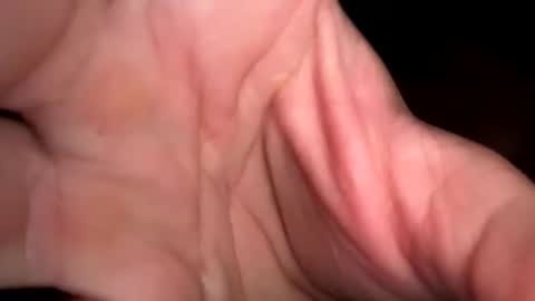 king26844 online show from March 2026 02:39:02 PM