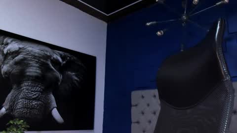 Angel Falconer online show from February 2026 01:59:02 AM