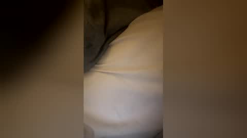 Snapshot of kingbbc6547 chatting on February 2026 10:42:02 AM kingbbc6547 online show from February 2026 10:42:02 AM