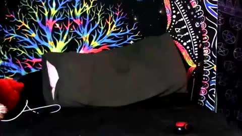 Jerry online show from February 2026 05:12:02 AM