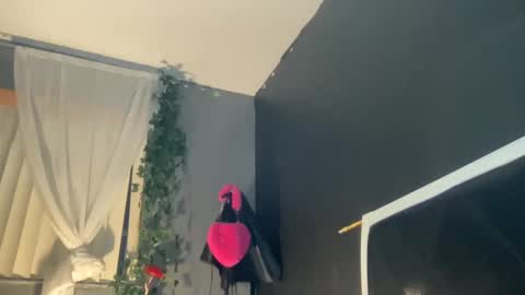 Snapshot of kinkykittee chatting on January 2025 11:41:02 AM Bunniii online show from January 2025 11:41:02 AM