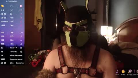 Snapshot of kinkywolf87 chatting on May 2026 12:49:02 AM kinkywolf87 online show from May 2026 12:49:02 AM