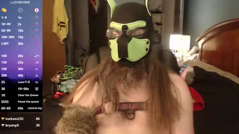 Snapshot of kinkywolf87 chatting on May 2026 11:00:01 PM kinkywolf87 online show from May 2026 11:00:01 PM