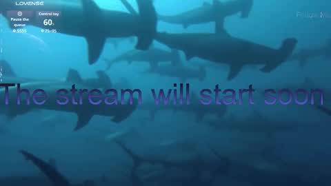 Kira online show from January 2026 05:49:02 PM
