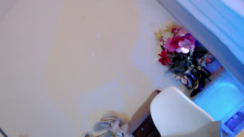 Snapshot of kissmebetter chatting on June 2026 12:06:02 AM Saint Onicka online show from June 2026 12:06:02 AM