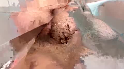 Snapshot of kitkatmac chatting on January 2025 07:29:01 PM kitkatmac online show from January 2025 07:29:01 PM