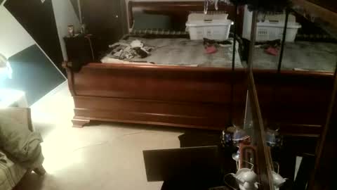 Snapshot of kittenkatch chatting on February 2026 05:11:02 AM KittenKatch online show from February 2026 05:11:02 AM