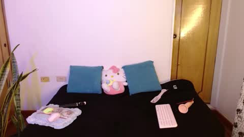 Snapshot of kittycatw chatting on November 2025 05:02:01 PM LAURA help me reach 100likes online show from November 2025 05:02:01 PM