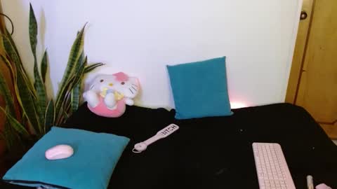 Snapshot of kittycatw chatting on February 2026 07:02:02 AM LAURA help me reach 100likes online show from February 2026 07:02:02 AM