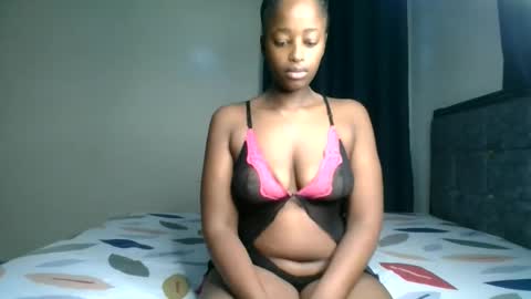 Kittypettite online show from March 2026 08:53:02 AM