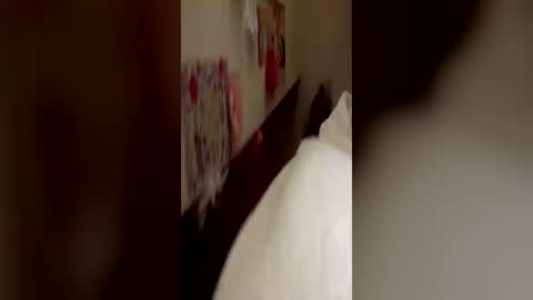 Kitty  Sophie    online show from June 2026 02:54:02 AM