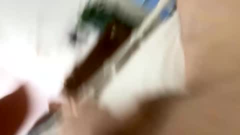 klimt2525 online show from January 2026 02:11:01 PM