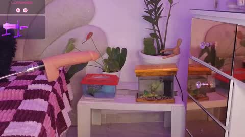 Snapshot of korolovaa chatting on September 2025 01:28:01 AM korolova online show from September 2025 01:28:01 AM