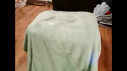 Snapshot of kotek400 chatting on January 2025 08:10:02 PM kotek400 online show from January 2025 08:10:02 PM