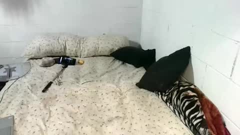 Snapshot of koty1169 chatting on January 2026 10:04:02 PM Katybaby online show from January 2026 10:04:02 PM