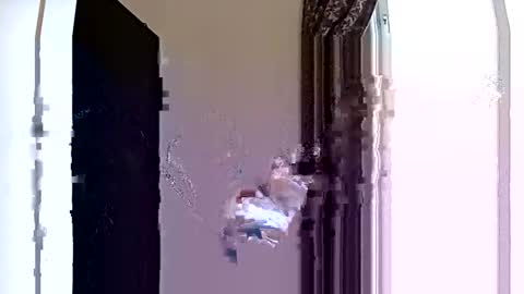 kpk1982 online show from October 2025 02:40:01 PM