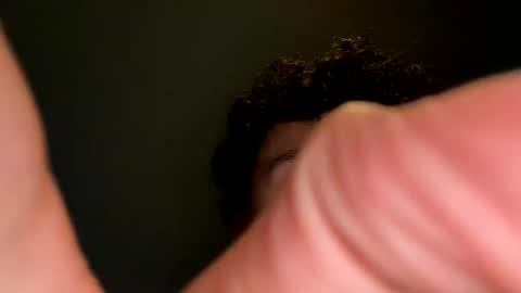 kurlz5stard online show from January 2026 01:33:01 AM