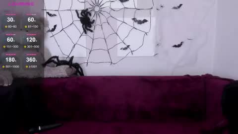 kurohama online show from November 2025 03:34:02 PM