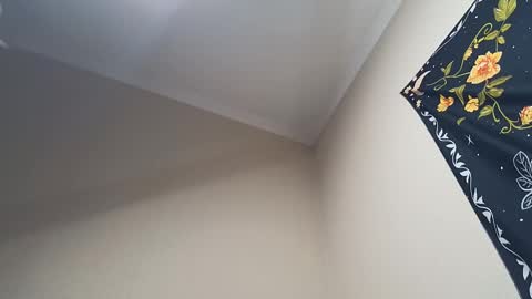 Snapshot of l_adonis_l chatting on February 2025 04:32:02 AM Adonis online show from February 2025 04:32:02 AM