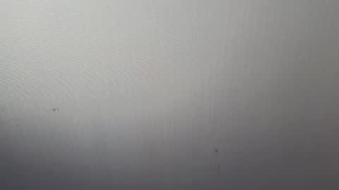 Snapshot of l_adonis_l chatting on March 2025 04:02:02 AM Adonis online show from March 2025 04:02:02 AM