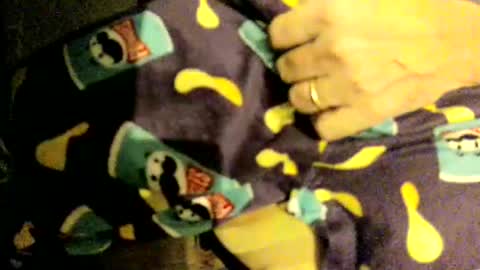 la teaser online show from November 2025 02:57:02 AM