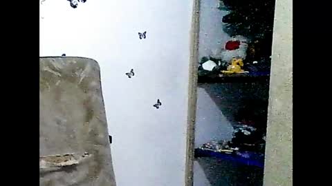 ladydeathz online show from December 2024 04:37:01 PM