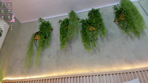 lana_lann online show from February 2025 03:42:01 PM