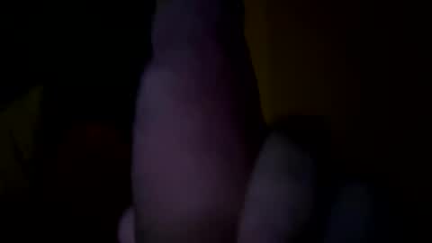 Snapshot of landonhov chatting on January 2025 08:55:01 AM landonhov online show from January 2025 08:55:01 AM