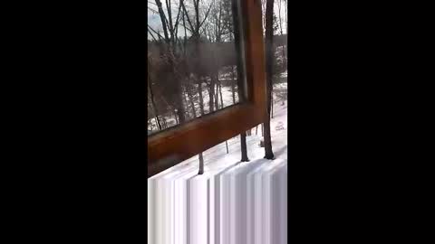 Snapshot of langederek2 chatting on March 2026 03:27:02 PM langederek2 online show from March 2026 03:27:02 PM