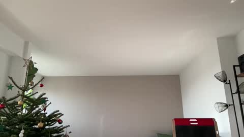 Lanimal online show from December 2025 11:27:02 AM