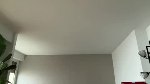 Lanimal online show from February 2026 08:29:02 AM