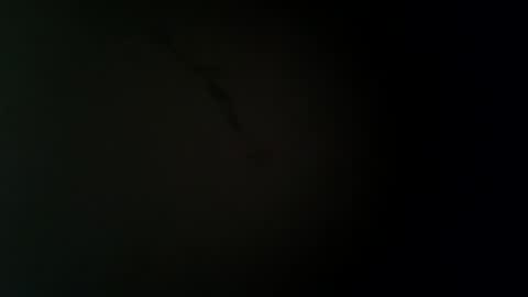 larry009 online show from December 2025 12:18:02 AM