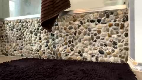 Snapshot of latinlover199518 chatting on April 2026 01:23:01 PM latinlover199518 online show from April 2026 01:23:01 PM