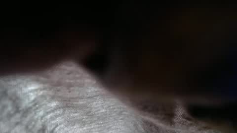 launeeee1 online show from February 2026 02:55:02 PM