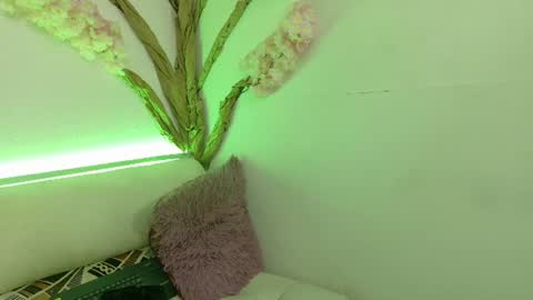     online show from June 2026 12:14:02 PM