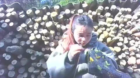 layla_999 online show from January 2026 02:06:02 AM