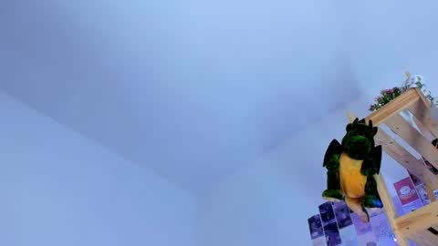 Ellie online show from October 2025 06:54:01 AM