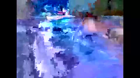 Snapshot of leemen33 chatting on December 2025 07:39:01 AM Michael online show from December 2025 07:39:01 AM