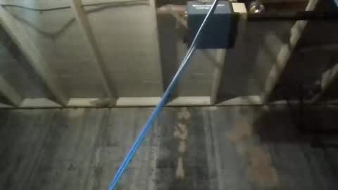 leo199984 online show from November 2025 04:47:01 AM